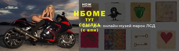 дмт Бородино
