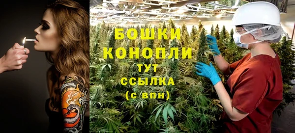 мдпв Богородицк