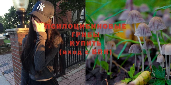 дмт Бородино