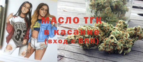 молекула духа Бронницы
