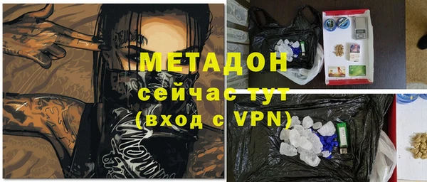 дмт Бородино