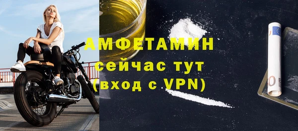 дмт Бородино