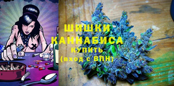 дмт Бородино