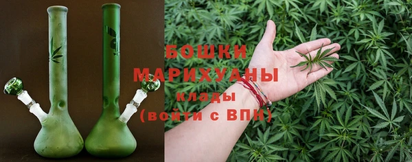 молекула духа Бронницы
