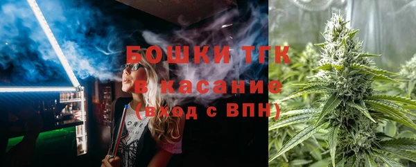 дмт Бородино