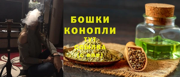 дмт Бородино