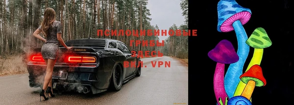дмт Бородино