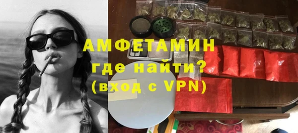 дмт Бородино