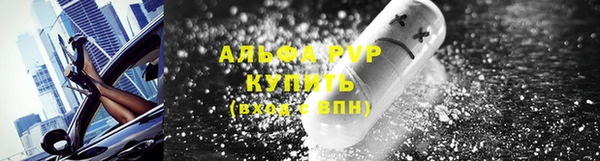 дмт Бородино