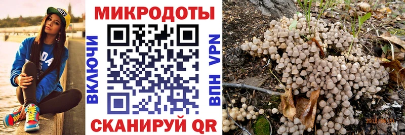 Галлюциногенные грибы ЛСД  ссылка на мегу ссылки  Ковдор 